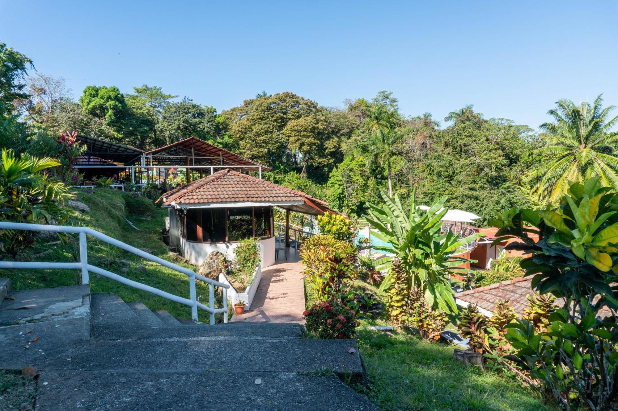 Bongo - Adults Only Hotel Manuel Antonio Eksteriør billede