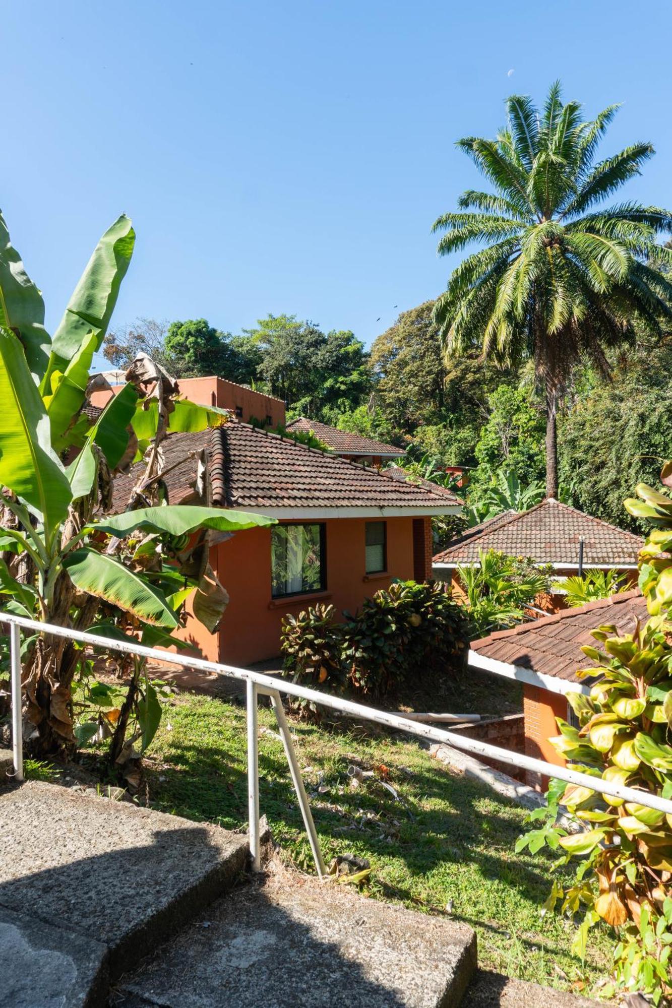 Bongo - Adults Only Hotel Manuel Antonio Eksteriør billede